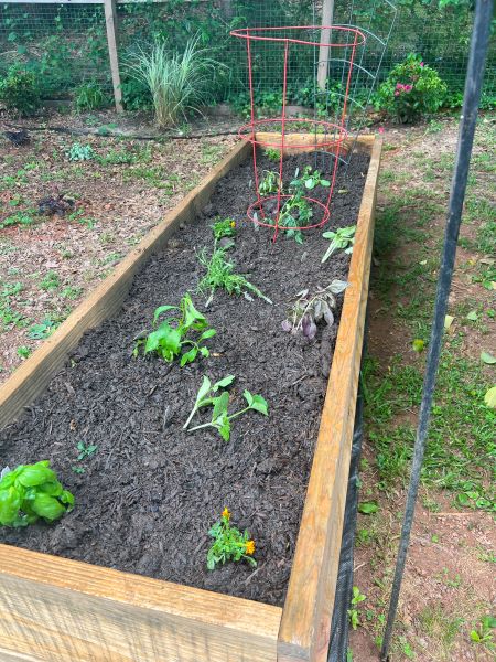 garden beds in the front and back