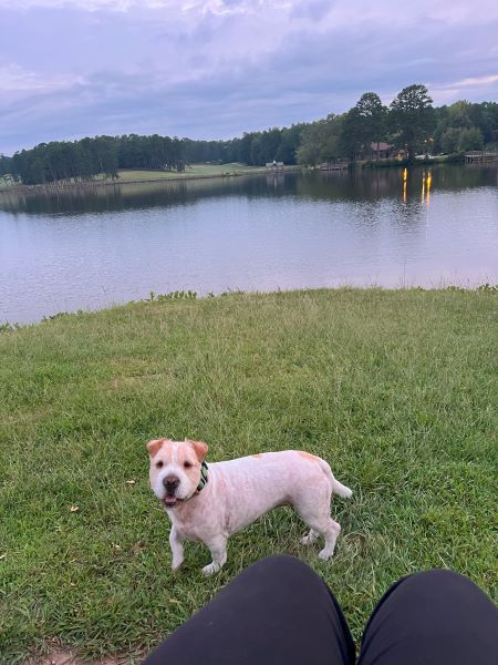 hope sitting at a local lake with her dog